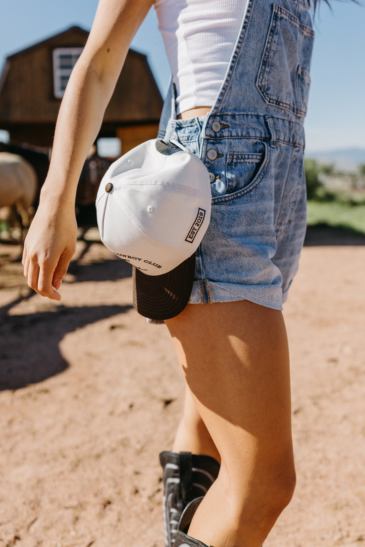 Western Two Tone Hat